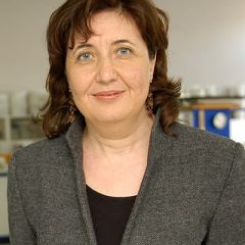Gülsen Çeliker