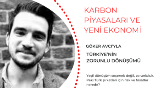 Karbon Piyasaları ve Yeni Ekonomi